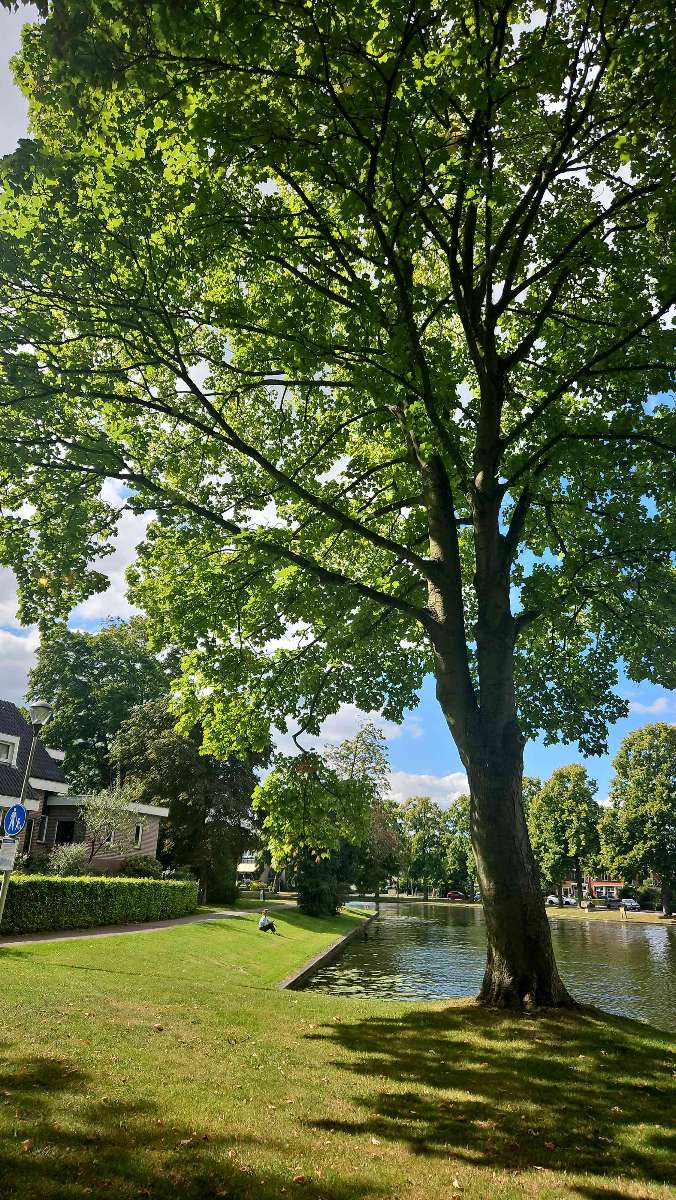 Woerden Scavenger Hunt scavenger hunt photos