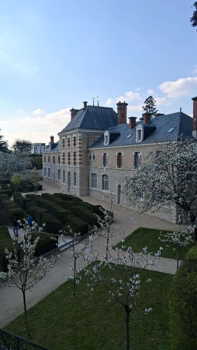 Blois Scavenger Hunt scavenger hunt photos