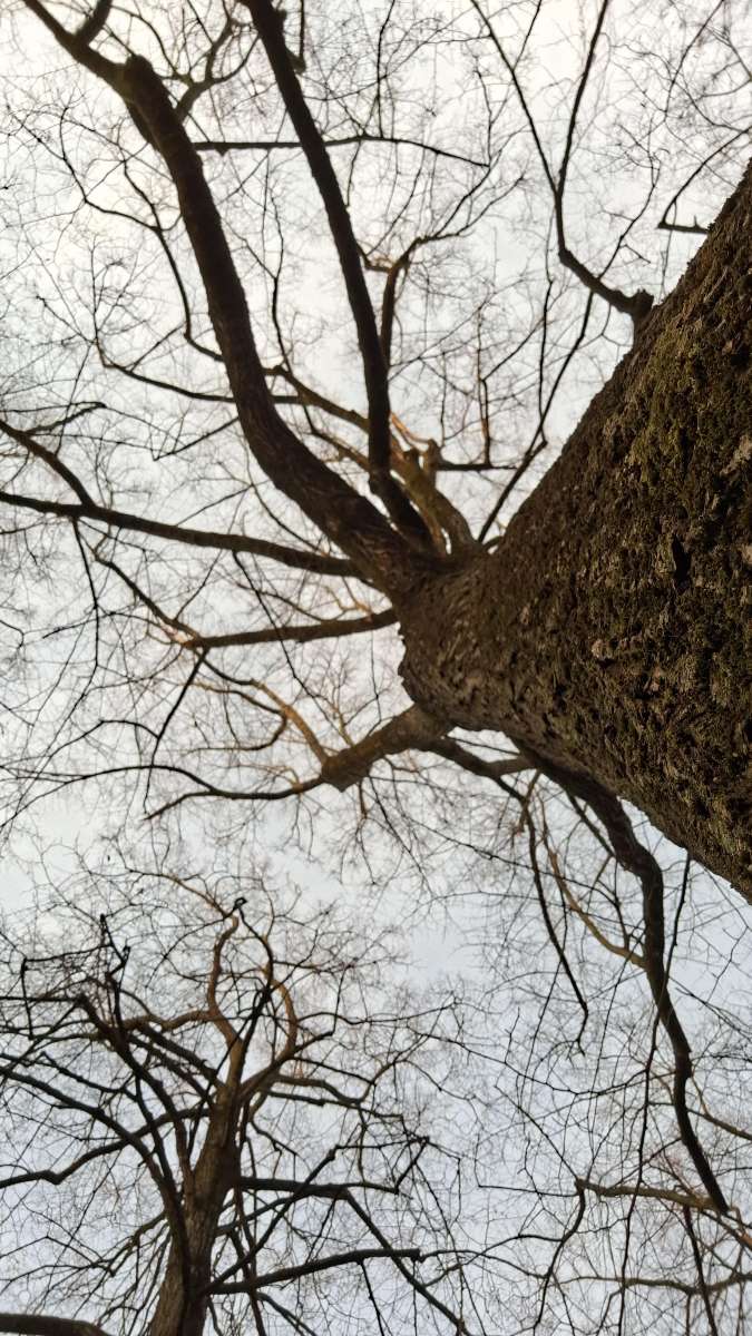 Fotos da ca&ccedil;a ao tesouro Scharn Scavenger Hunt