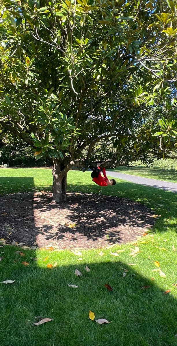 애들레이드 대학교 스캐빈저 헌트 스캐빈저 헌트 사진