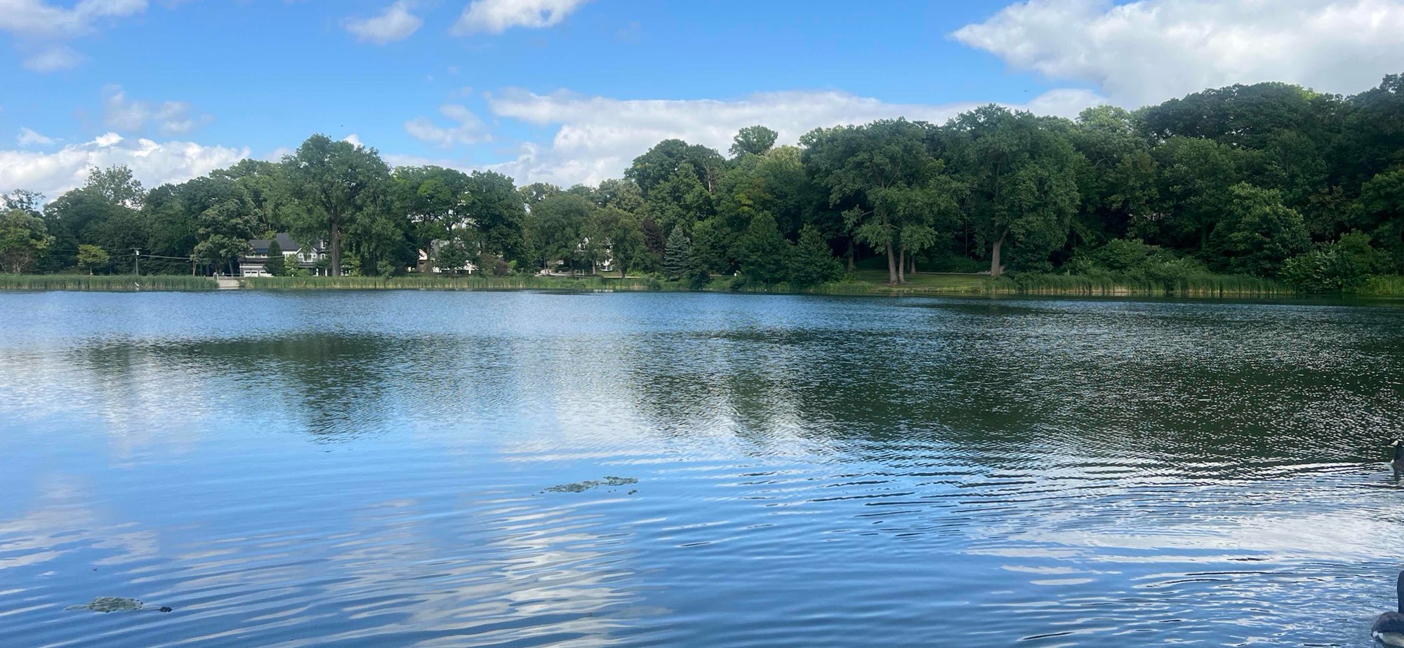 Glen Ellyn Scavenger Hunt scavenger hunt photos