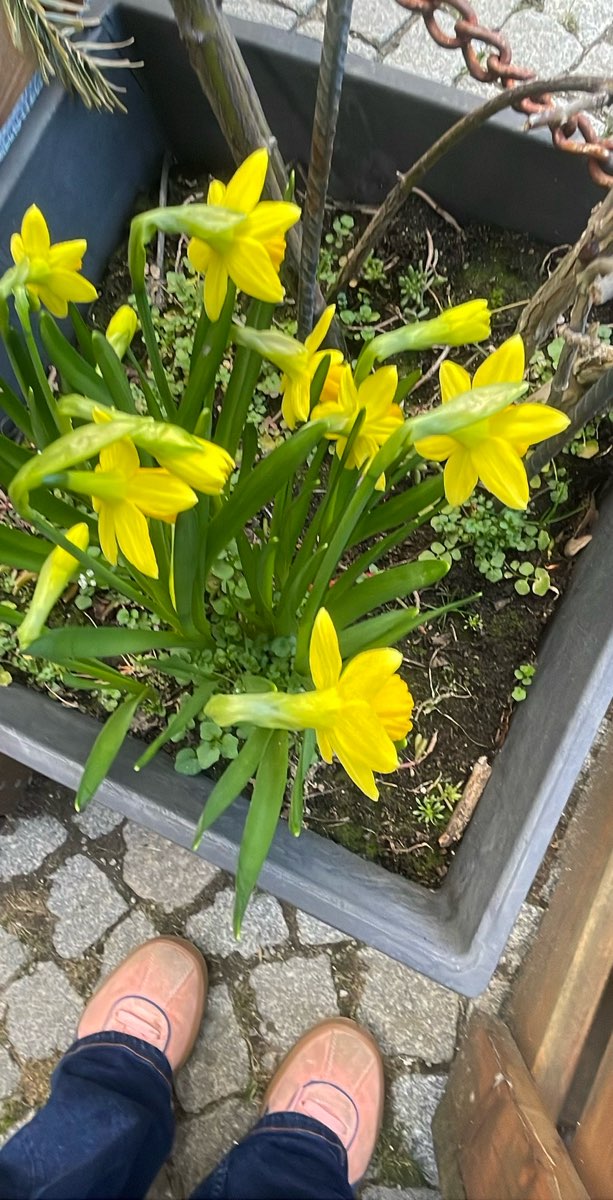 Fotos de la B&uacute;squeda del Tesoro de Neustadt