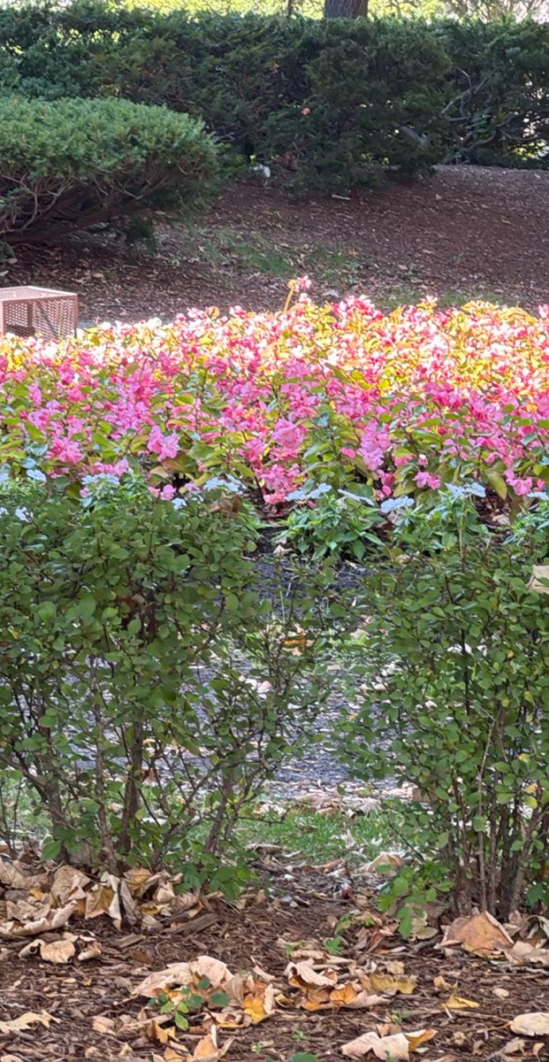 Hamilton Ontario Scavenger Hunt scavenger hunt photos