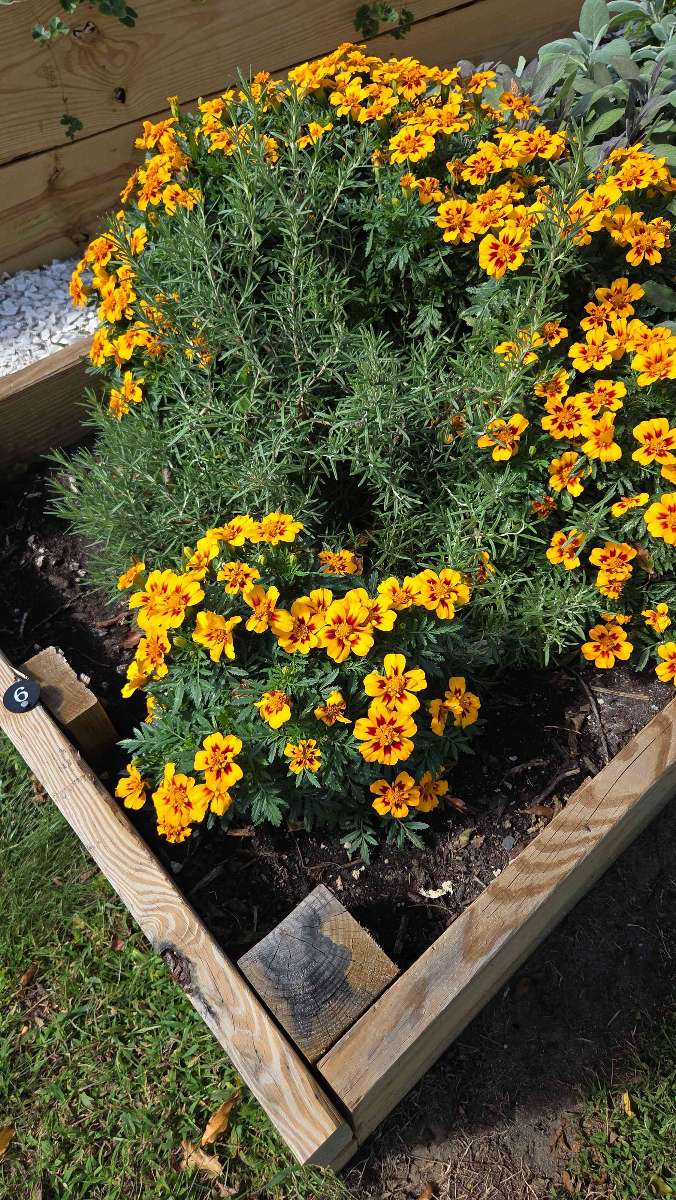 Fotos de la búsqueda del tesoro de Somers Point