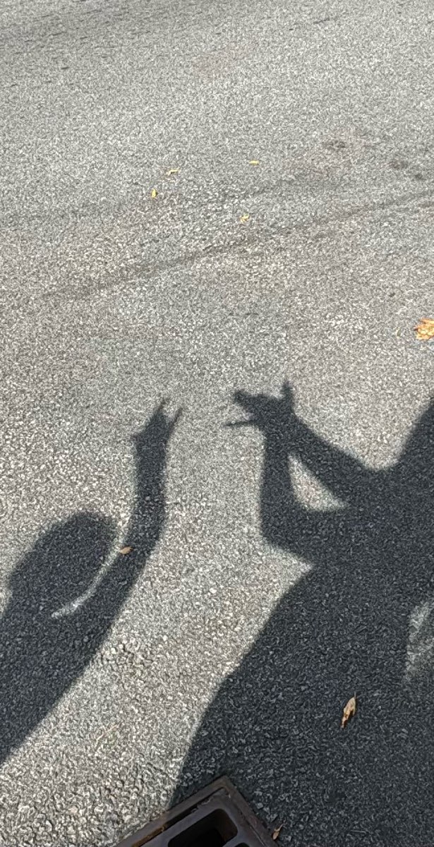 Fotografii V&acirc;n&abreve;toare de Comori Turul Fantomelor din Portsmouth New Hampshire