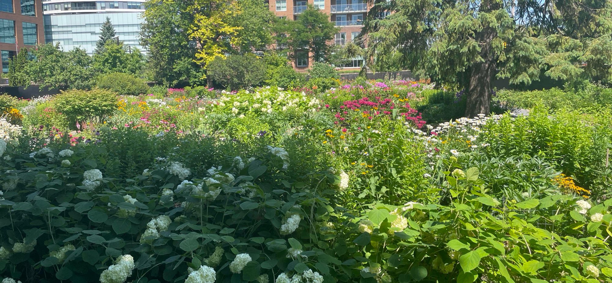 Ottawa Ontario Ghost Tour scavenger hunt photos