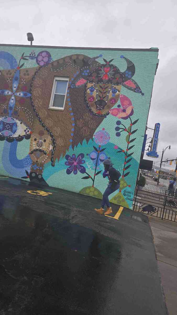 Photos de la chasse au trésor à Buffalo, New York