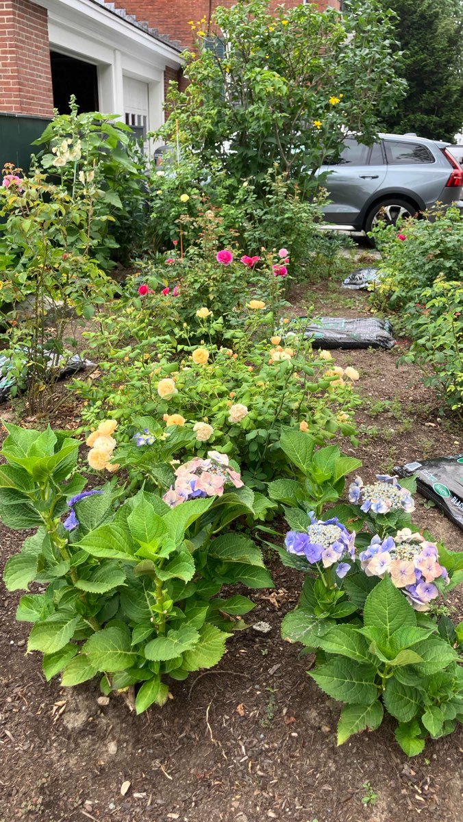 Portsmouth New Hampshire Downtown Scavenger Hunt scavenger hunt photos