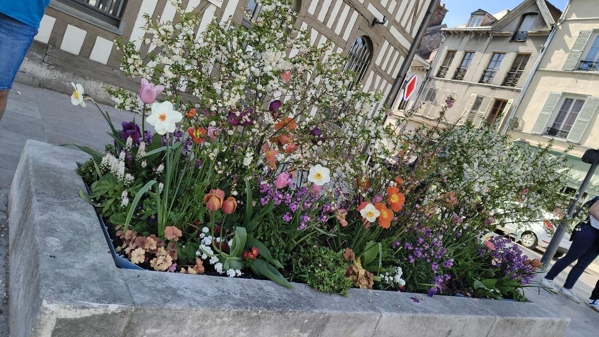 Troyes Scavenger Hunt scavenger hunt photos