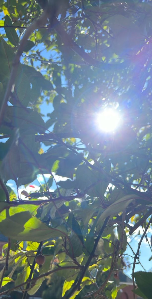 Saint Charles Scavenger Hunt scavenger hunt photos