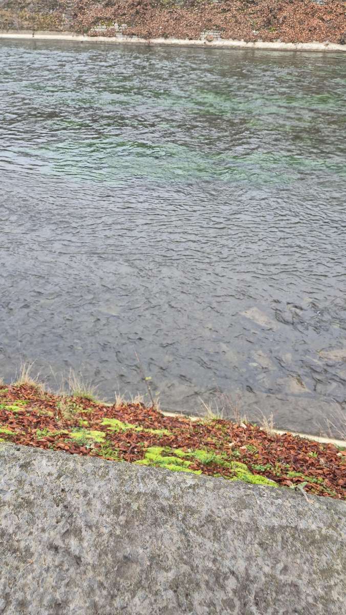 Durbuy Scavenger Hunt scavenger hunt photos