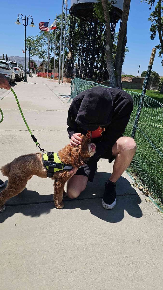 Tehachapi Scavenger Hunt scavenger hunt photos