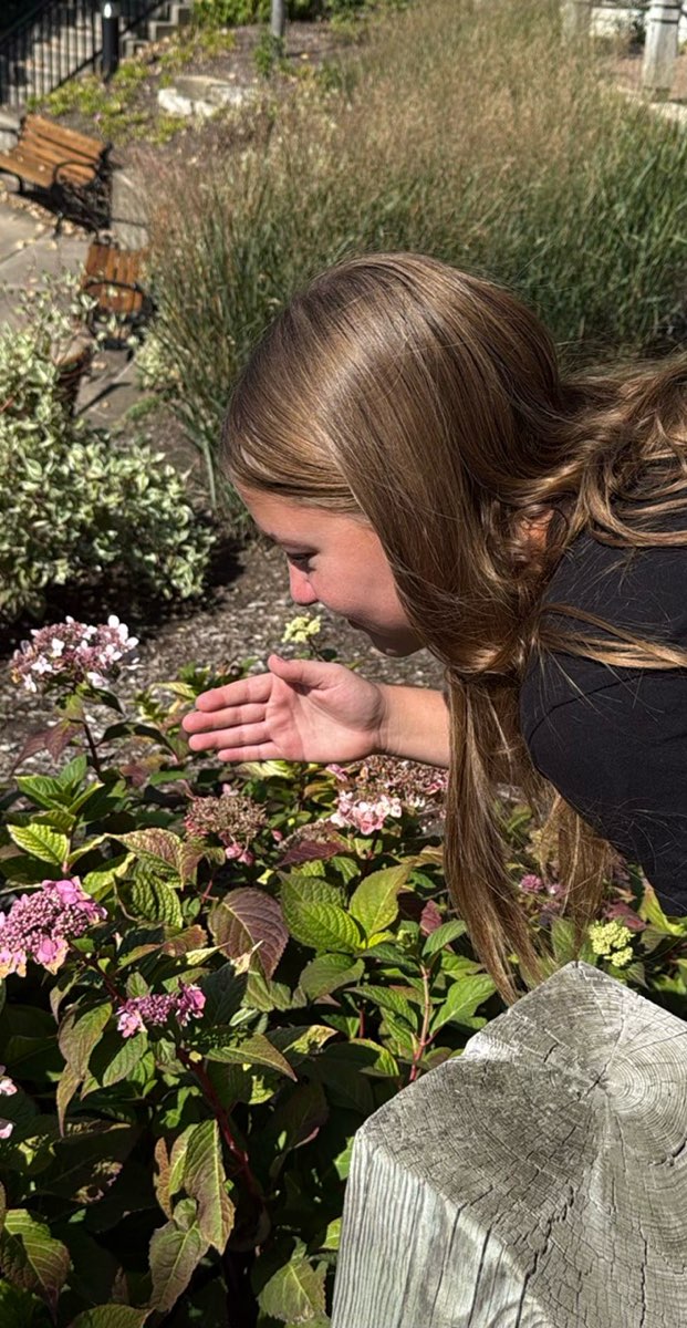 Naperville Scavenger Hunt scavenger hunt photos