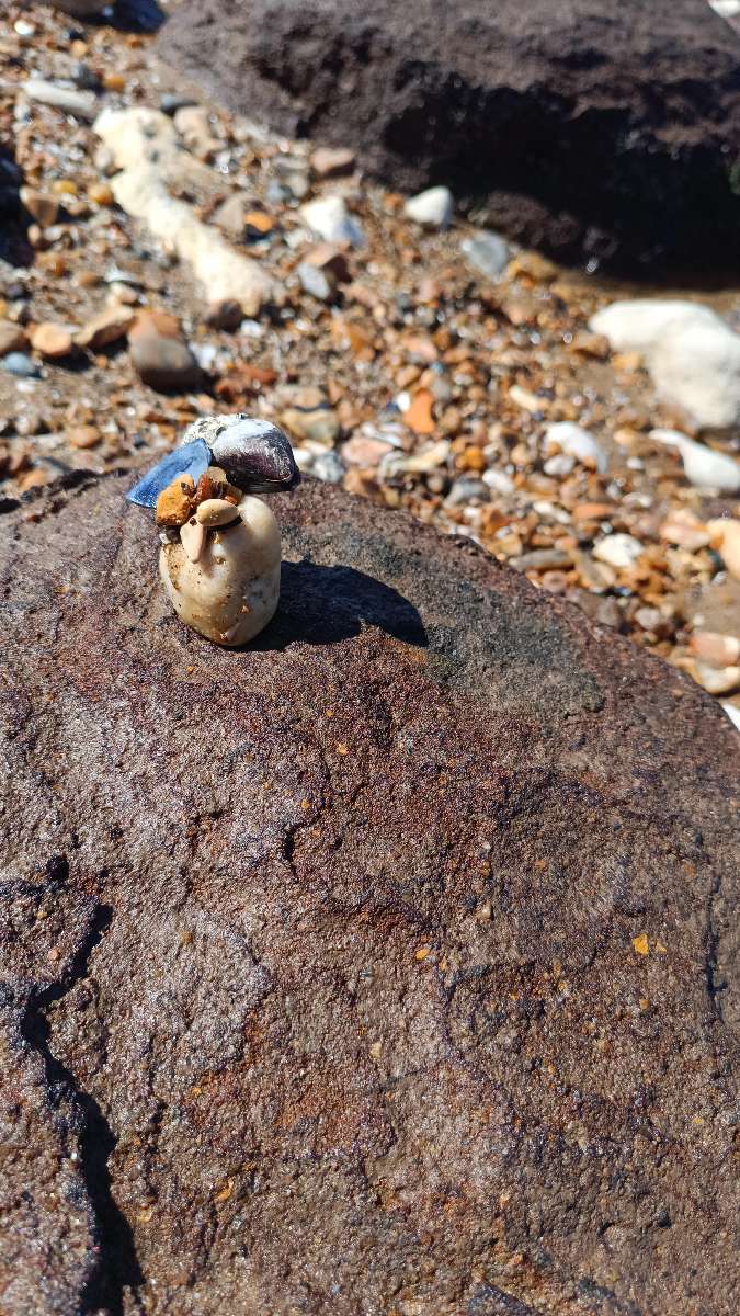 Фотографии "Ханстантонской охоты за сокровищами"