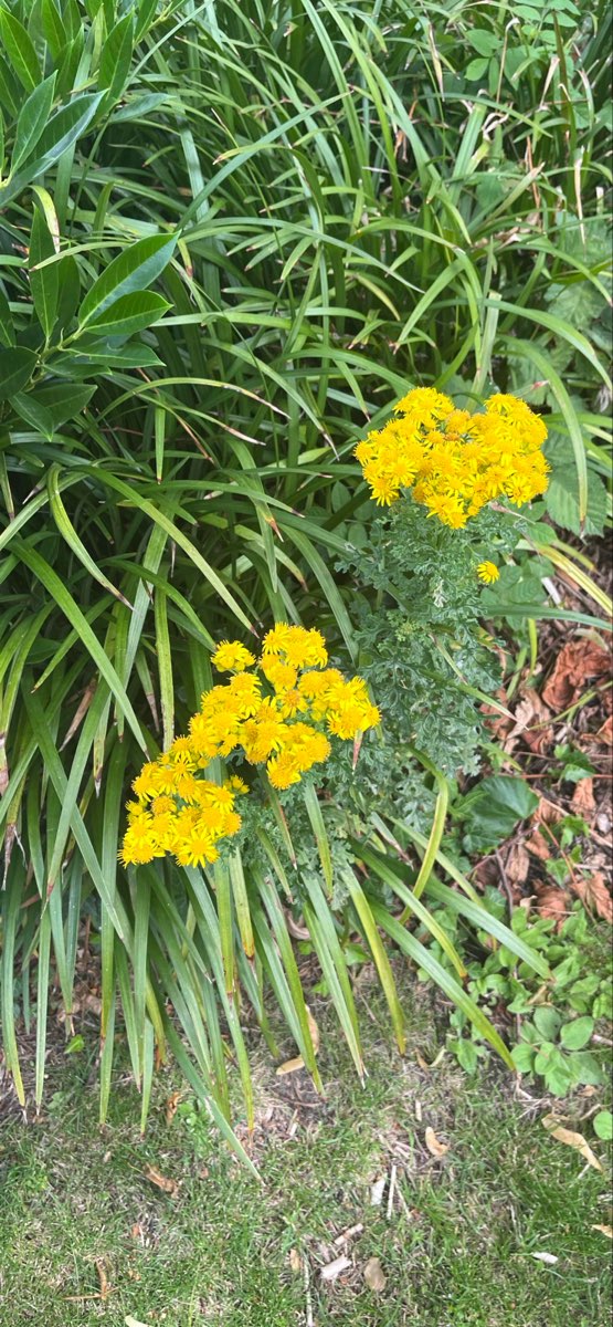 Integracyjna gra terenowa