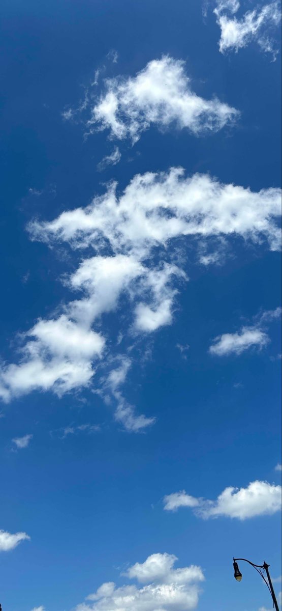 Collinsville Scavenger Hunt scavenger hunt photos