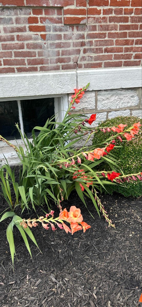 תמונות מסיור החיפושים של קולינסוויל