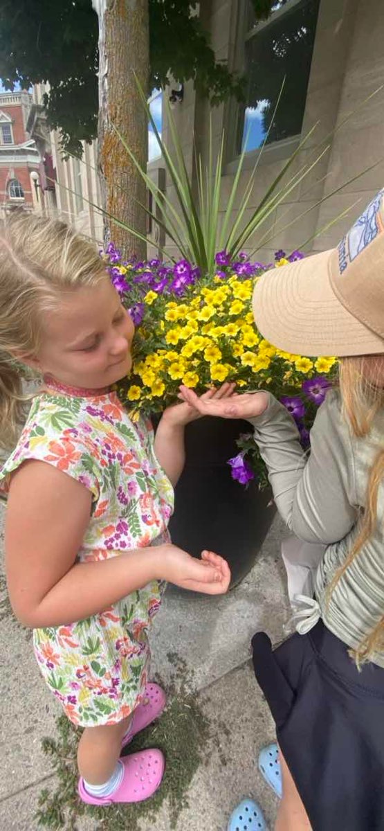 パース・オンタリオ・スカベンジャーハントのスカベンジャーハント写真