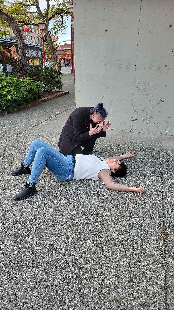 Victoria British Columbia Downtown Scavenger Hunt scavenger hunt photos