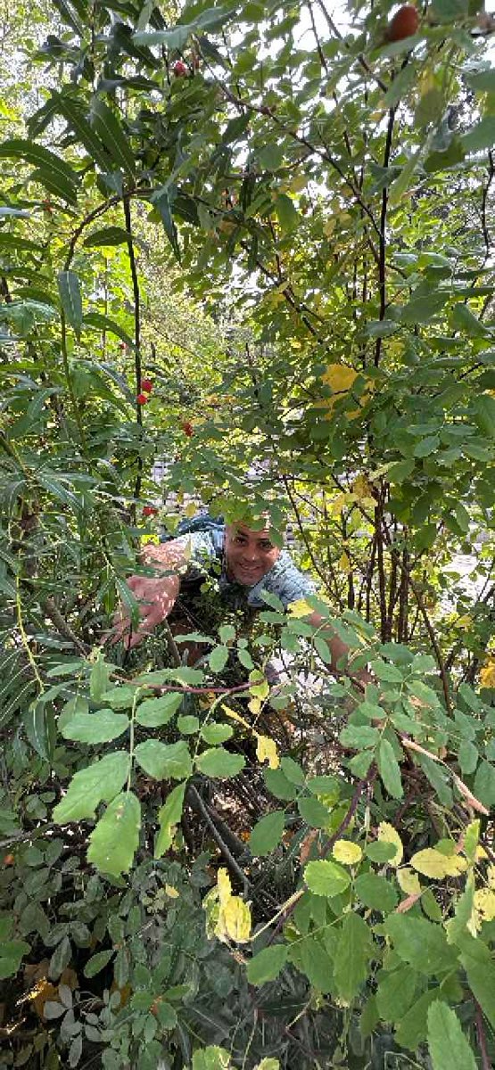 Calgary Audio Tour scavenger hunt photos