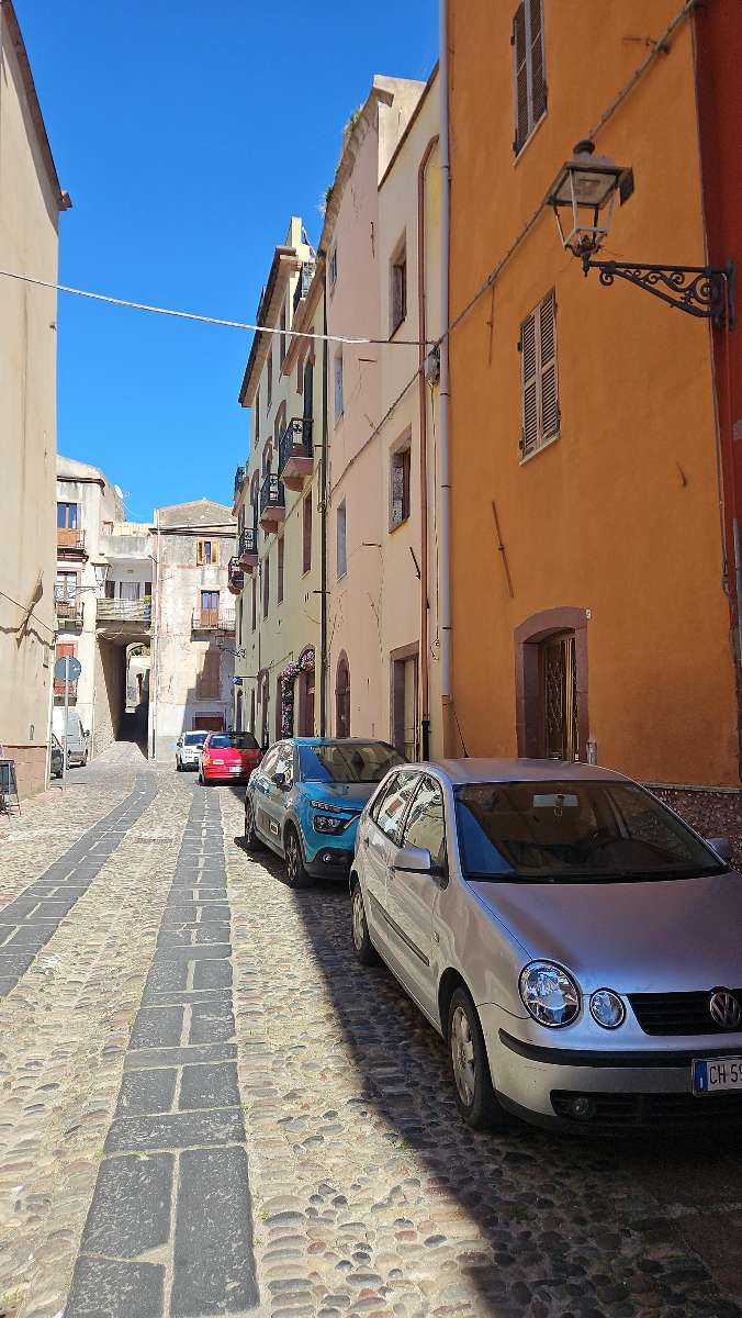 Fotos de la Búsqueda del Tesoro en Bosa