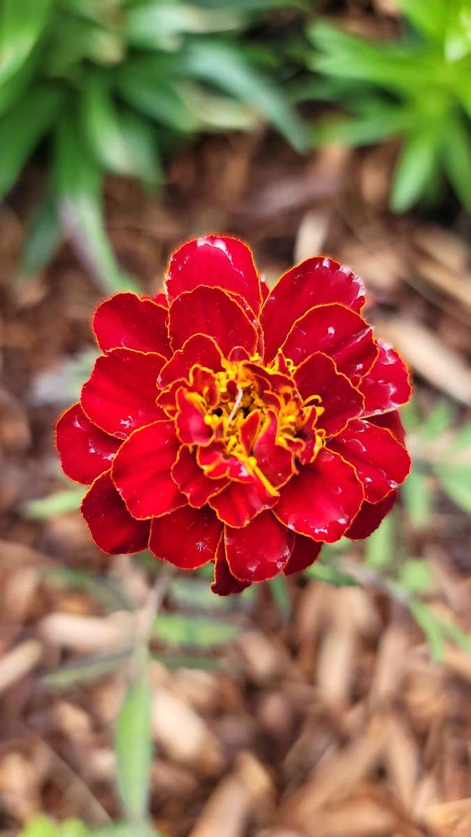 Stillwater Minnesota Scavenger Hunt scavenger hunt photos