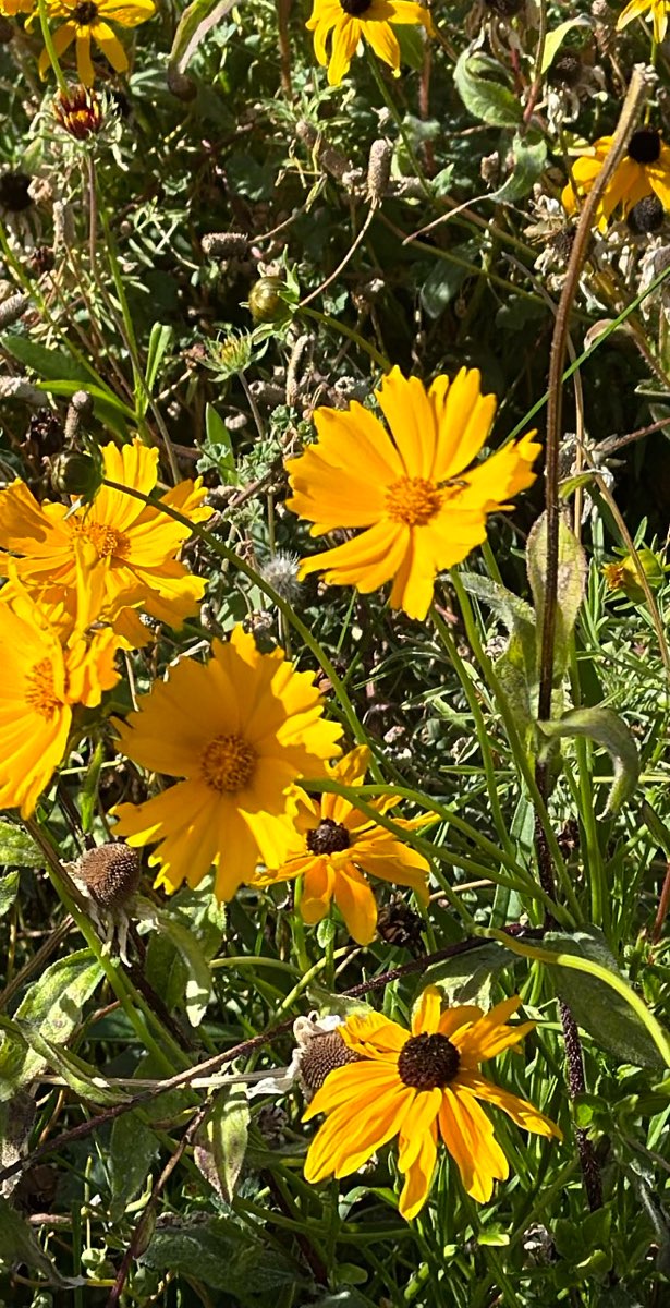 Genoa Nevada Scavenger Hunt scavenger hunt photos