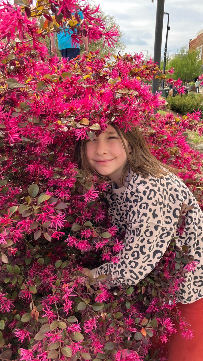 Photos de la chasse au tr&eacute;sor de Hickory