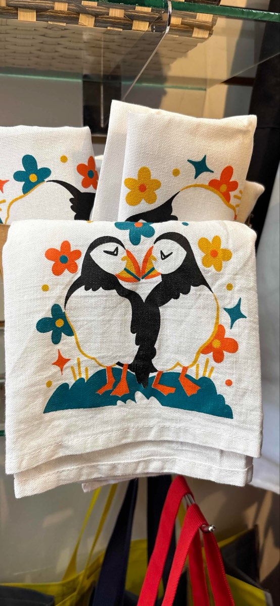 Memorial University of Newfoundland Scavenger Hunt scavenger hunt photos