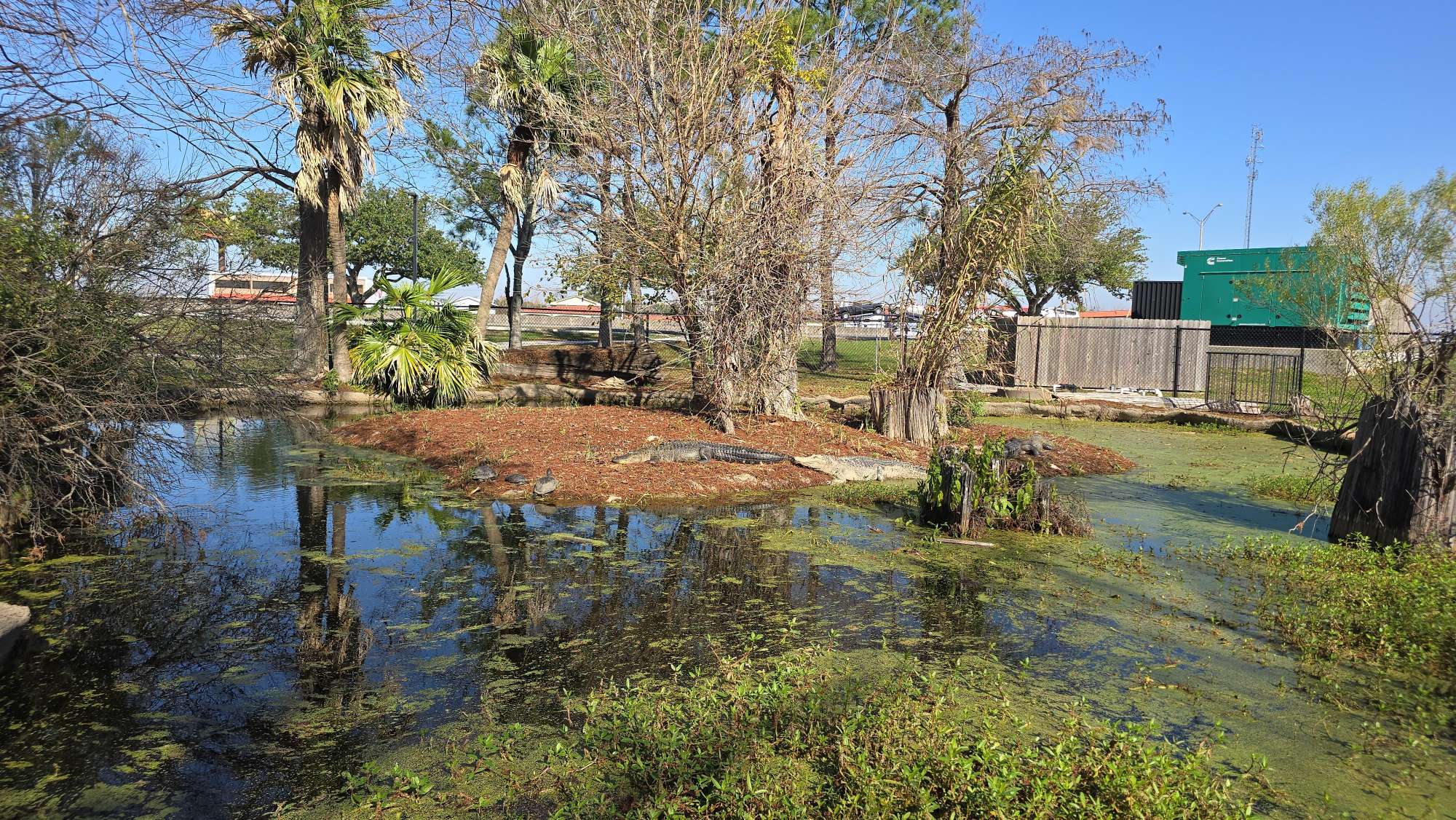 Fotografii de v&acirc;n&abreve;toare de comori Lake Charles Scavenger Hunt