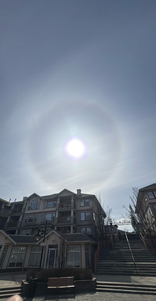 坎卢普斯寻宝活动照片