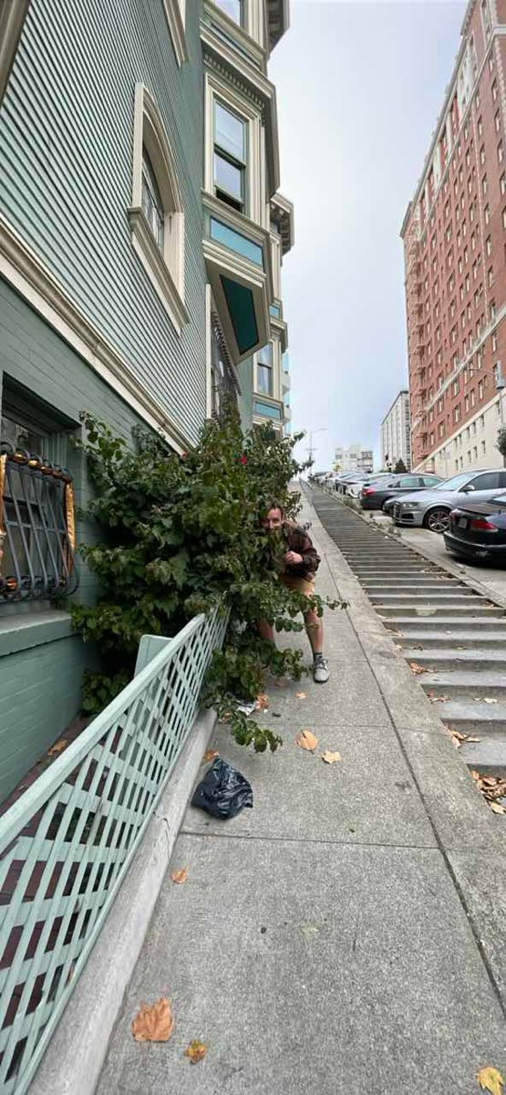 엠바카데로 스캐빈저 헌트 스캐빈저 헌트 사진