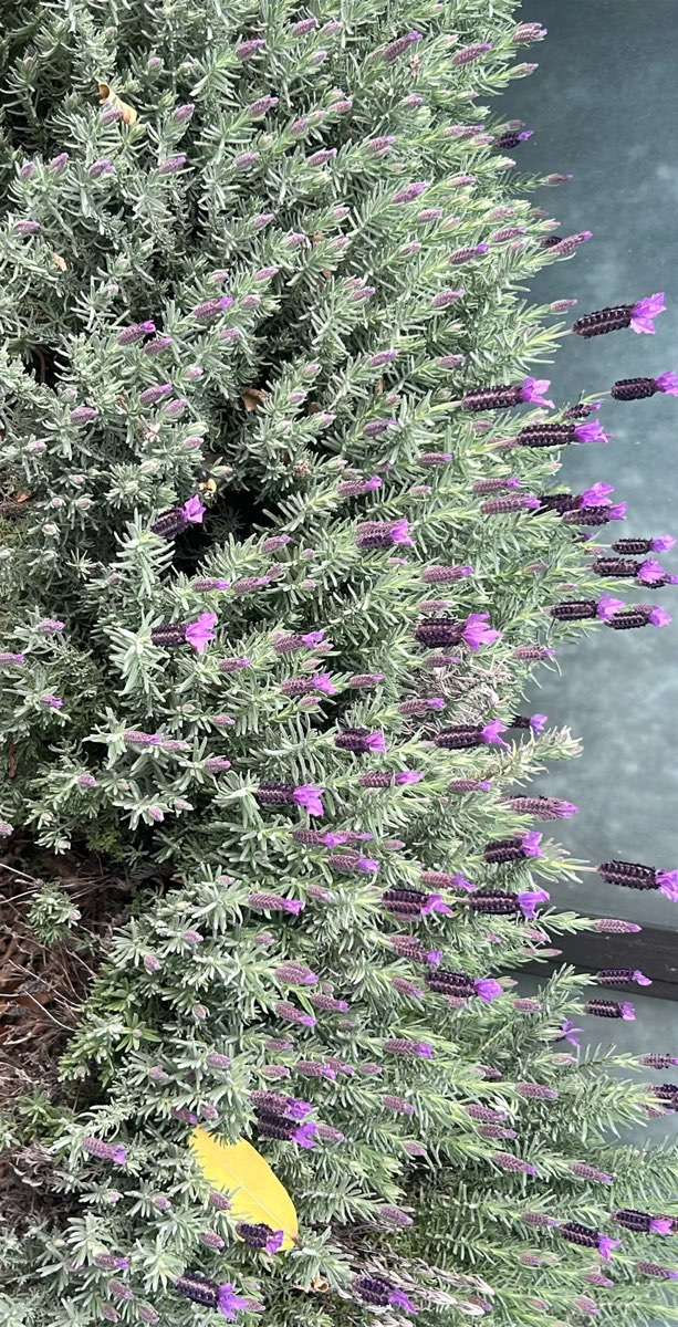 &Fcy;&ocy;&tcy;&ocy; &scy; &ocy;&khcy;&ocy;&tcy;&ycy; &zcy;&acy; &scy;&ocy;&kcy;&rcy;&ocy;&vcy;&icy;&shchcy;&acy;&mcy;&icy; &vcy; &KHcy;&icy;&lcy;&dcy;&scy;&bcy;&iecy;&rcy;&gcy;&iecy;