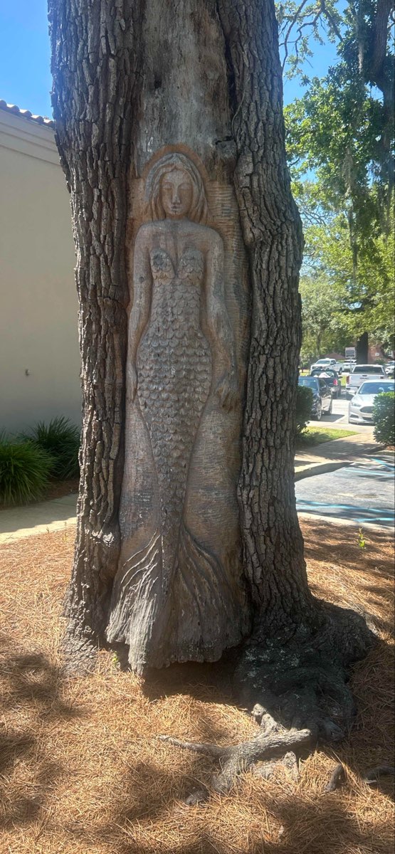 Saint Simons Island Scavenger Hunt scavenger hunt photos