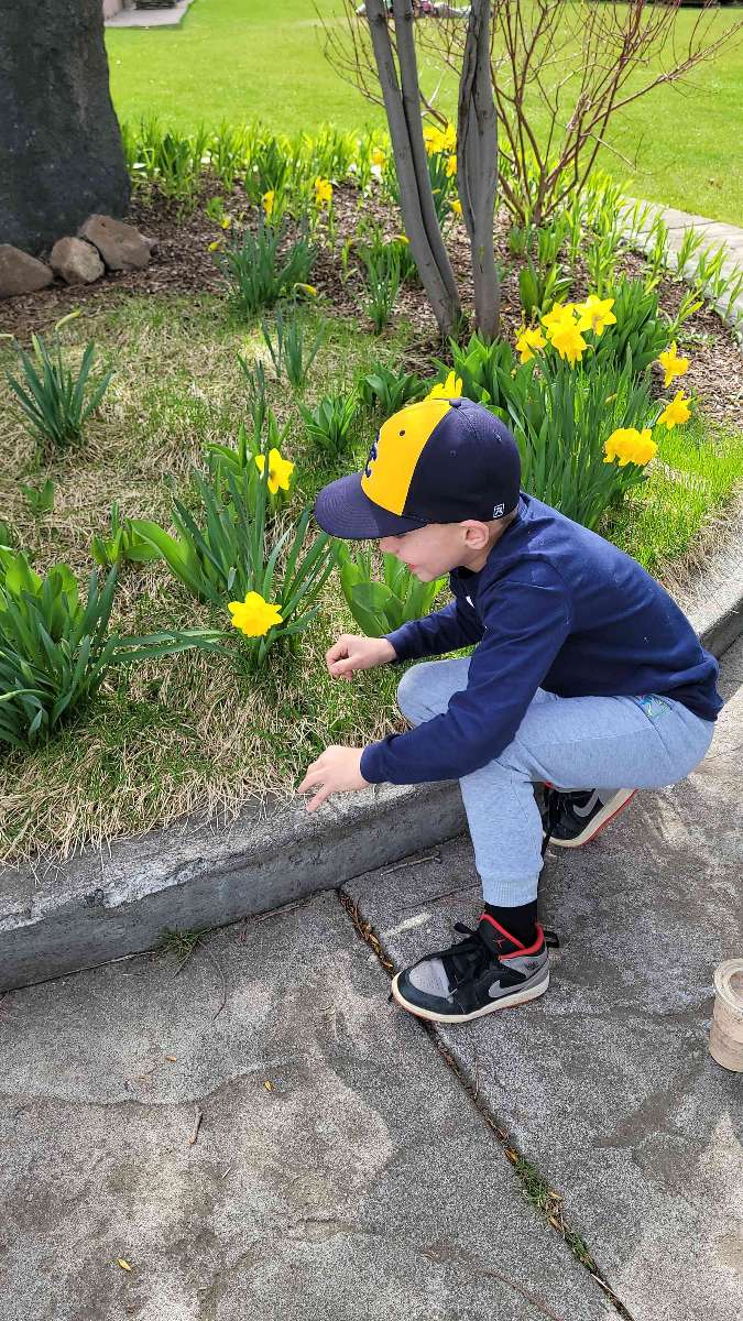 รูปภาพการล่าสมบัติในไพรน์วิลล์