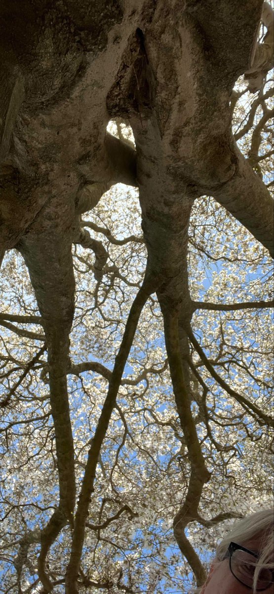 Newport Rhode Island Downtown Scavenger Hunt scavenger hunt photos