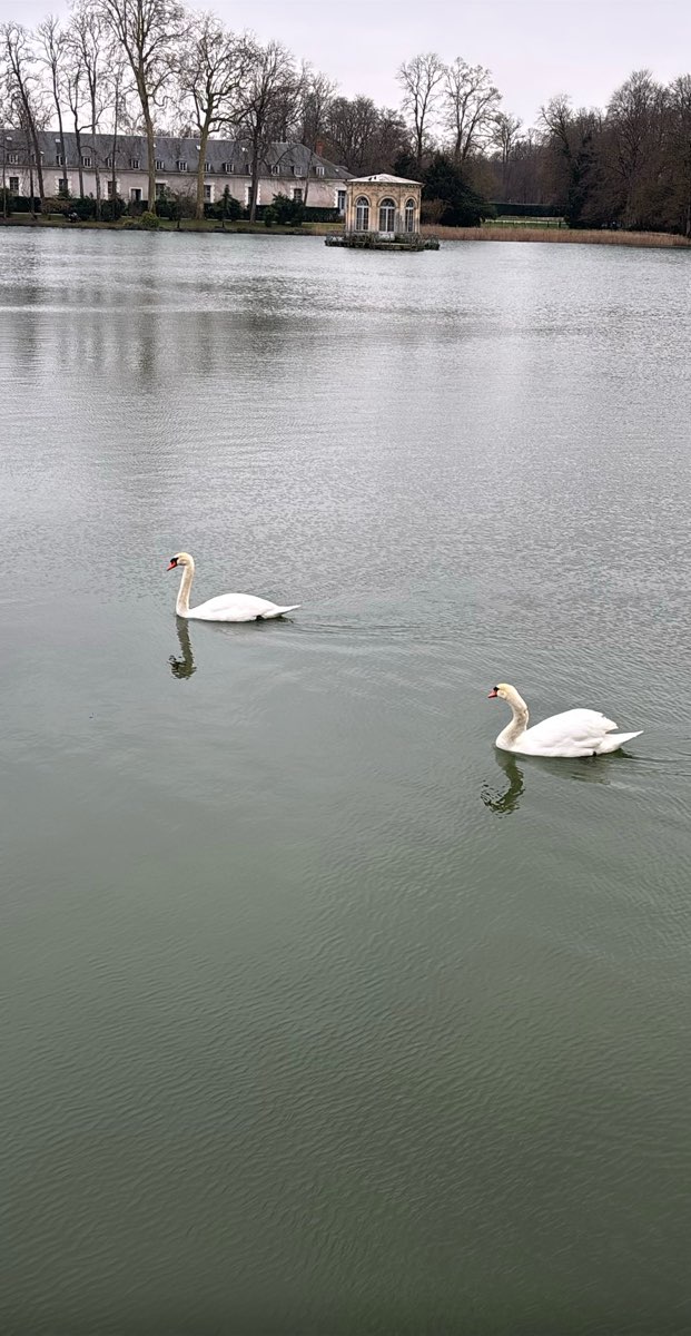 Fontainebleau Scavenger Hunt scavenger hunt photos