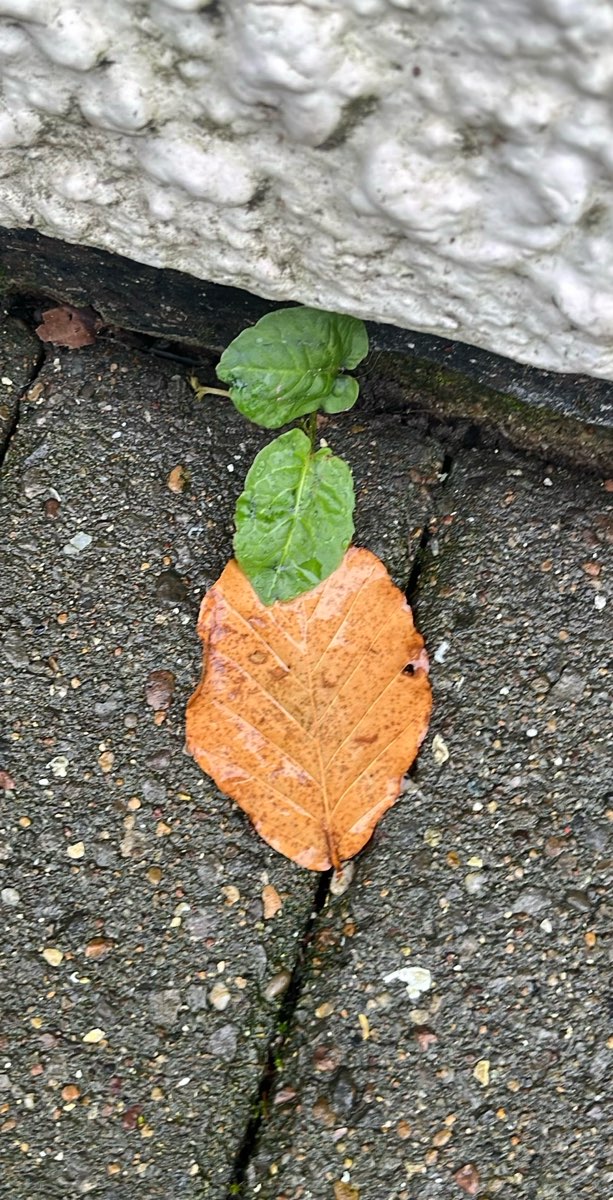 chasse au tr&eacute;sor pour team building