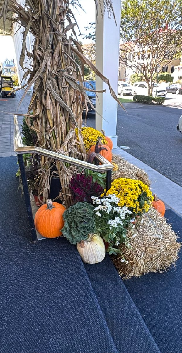 Cape May Scavenger Hunt scavenger hunt photos