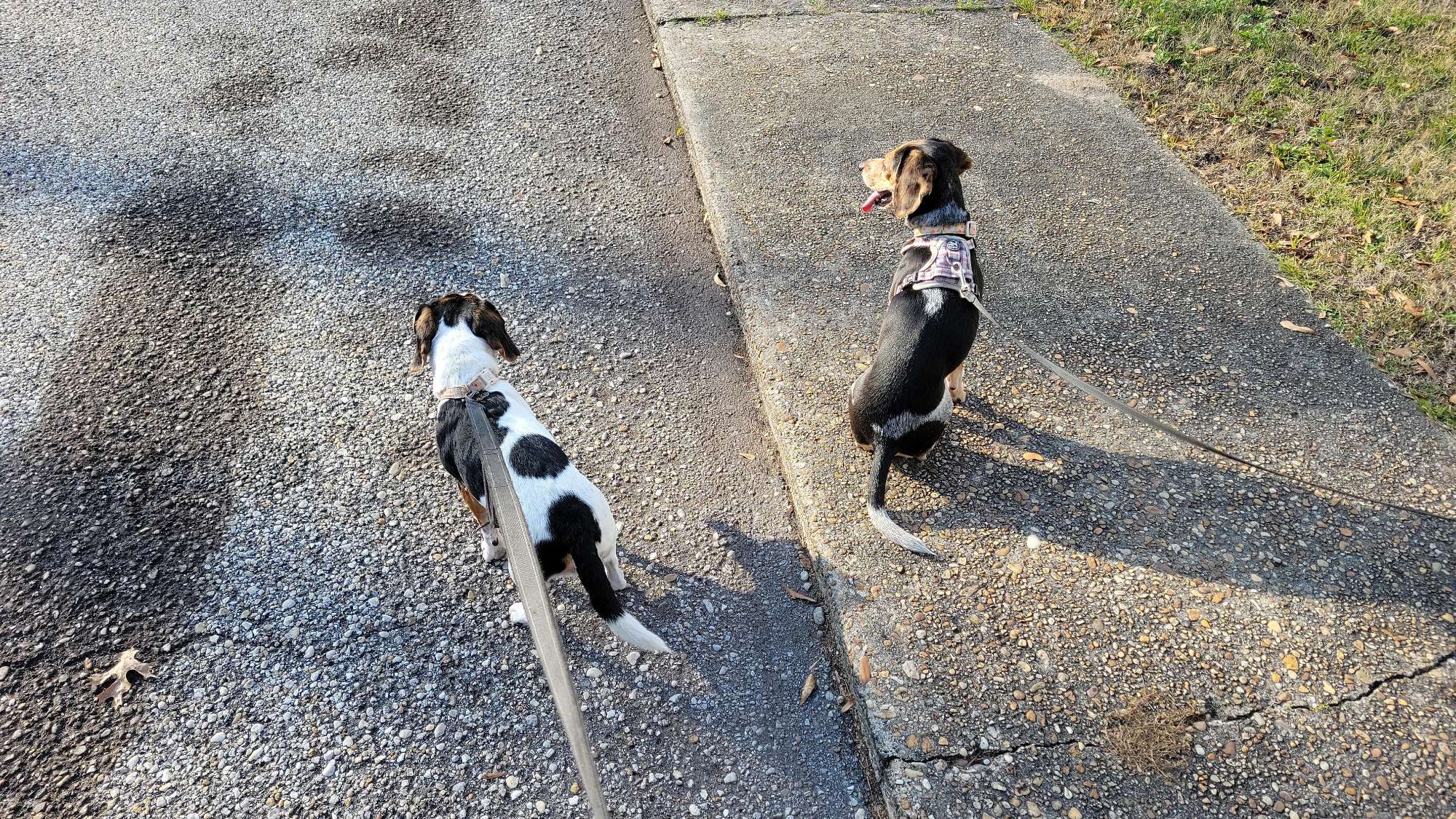 team building scavenger hunt