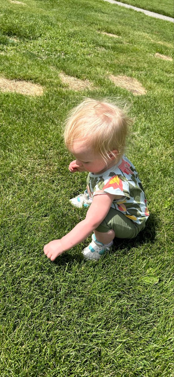 Φωτογραφίες κυνηγιού θησαυρού στο Wenatchee