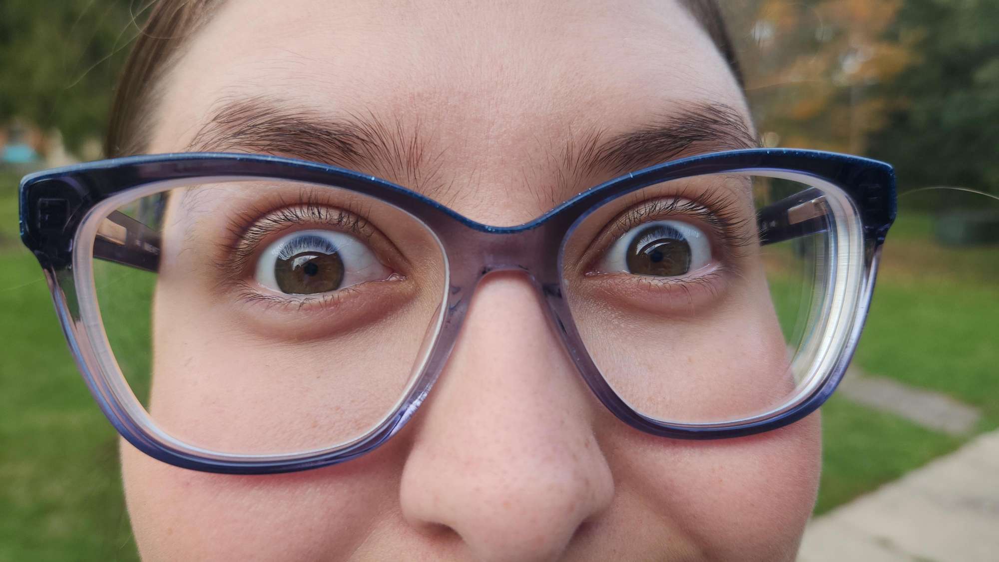 안티오크 대학교 스캐빈저 헌트 스캐빈저 헌트 사진