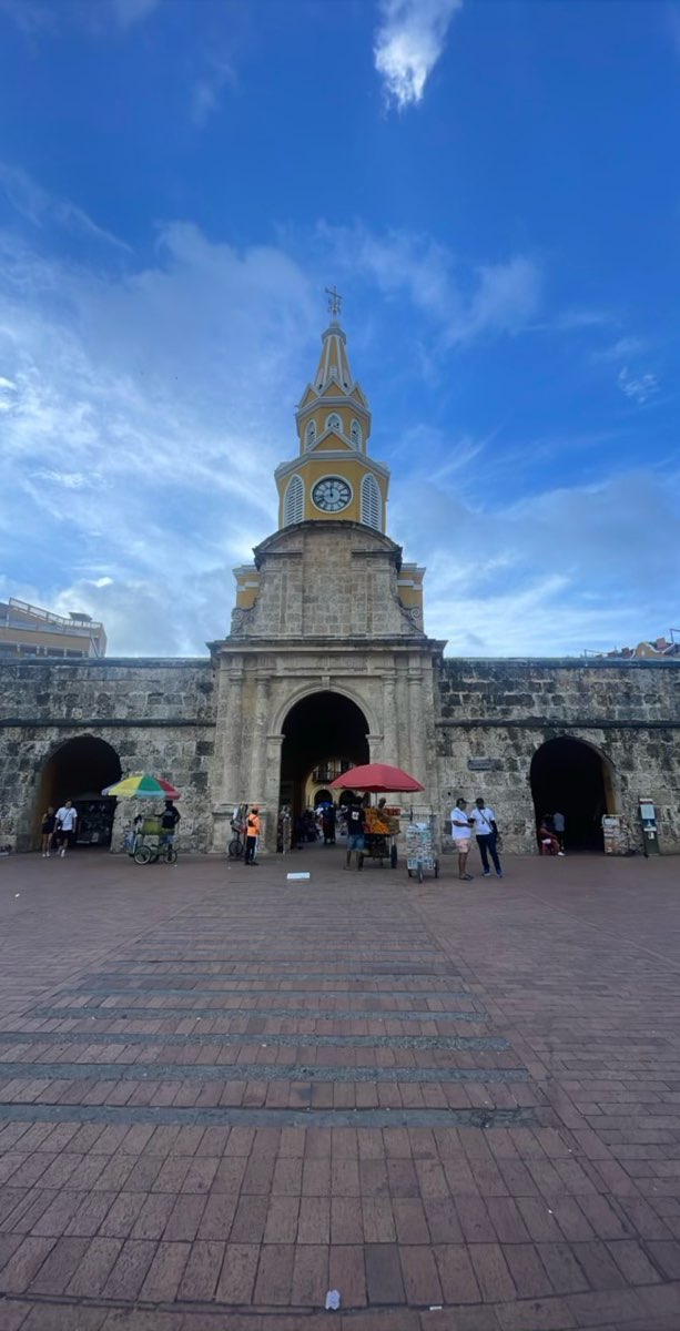 ボリバルコロンビア スカベンジャーハント 写真