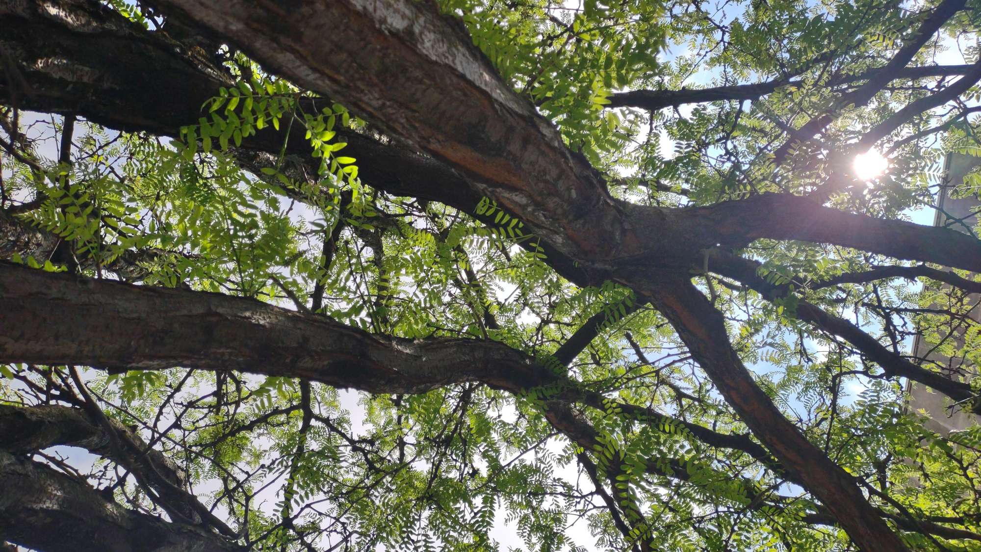 Φωτογραφίες από το Κυνήγι Θησαυρού στο New Albany της Ιντιάνα