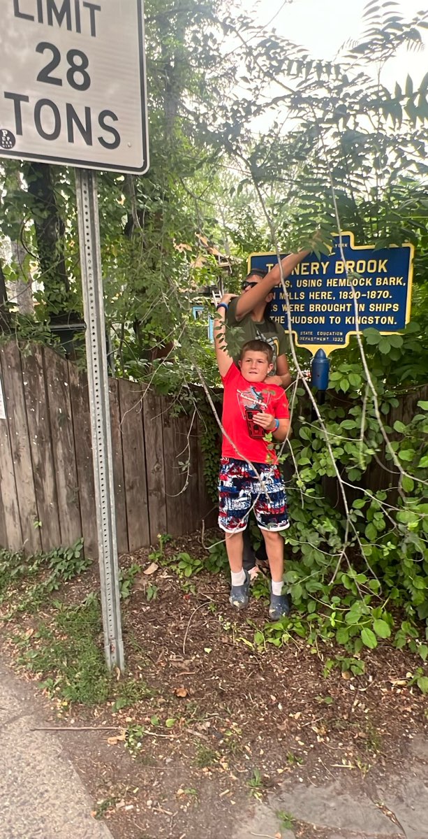 Woodstock New York Scavenger Hunt scavenger hunt photos