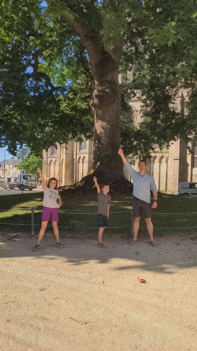 Bayeux Scavenger Hunt scavenger hunt photos