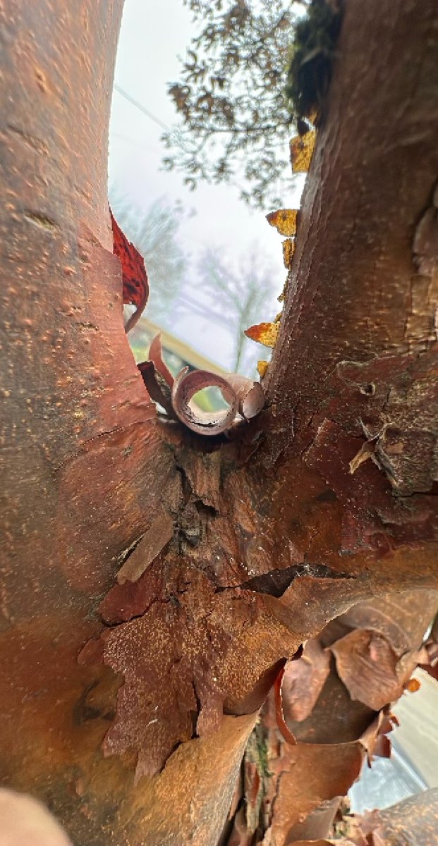 Southeast Portland Scavenger Hunt scavenger hunt photos