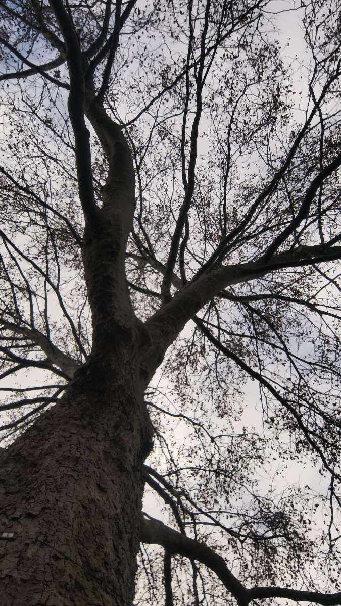 Hannover Scavenger Hunt scavenger hunt photos