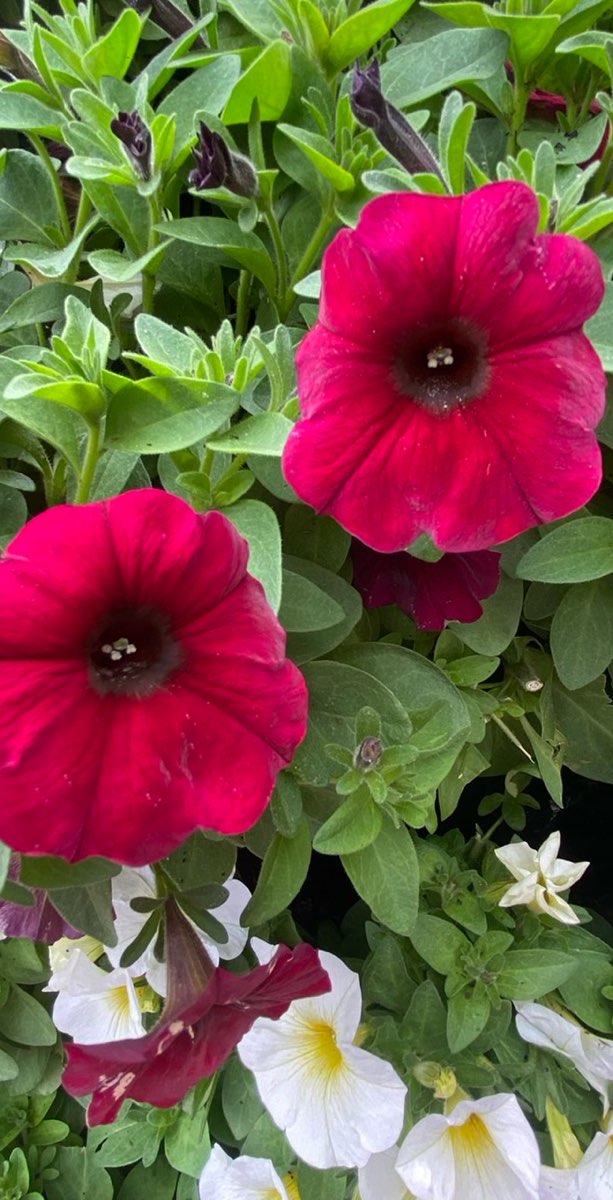 Kings Cross Scavenger Hunt scavenger hunt photos