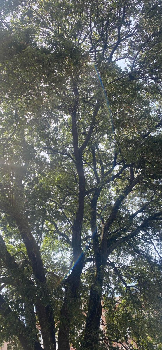 Columbus Mississippi Scavenger Hunt scavenger hunt photos